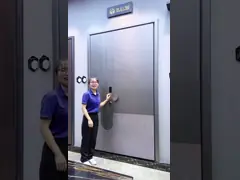 Black Customized Stainless Steel Entrance Door Aesthetics Steel Entry Doors