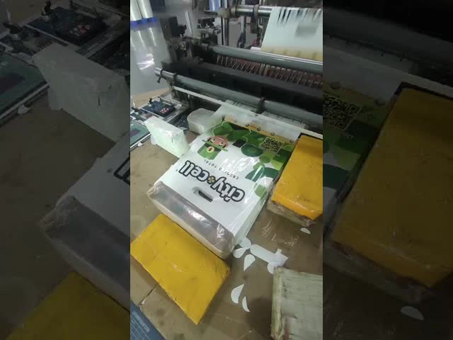 オーダーメイド プリント ロゴ 贅沢 プラスチック ハンドル ショッピング バッグ 衣類用の ハンドル バッグ