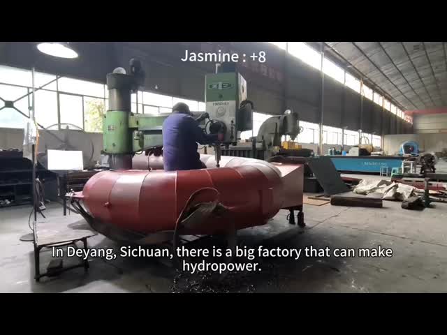 Escala de velocidade sem escova do gerador de turbina 500-3000r/min da roda de 100A-1000A Pelton