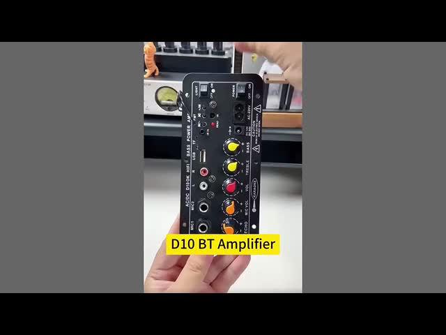 D10 BT 増幅器 オーディオボード 12V 24V ダートゼール モノ サブウーファー 増幅器 カラオケ