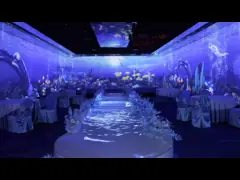 China Projection World Map Mapping Building Projection 3d Laser Projector supplier