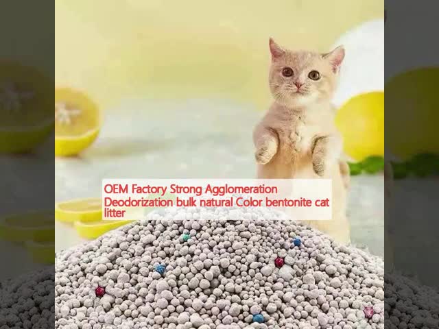 0.8mm-3.8mm 高級猫用ベントニートゴミ OEM ベントニート粘土