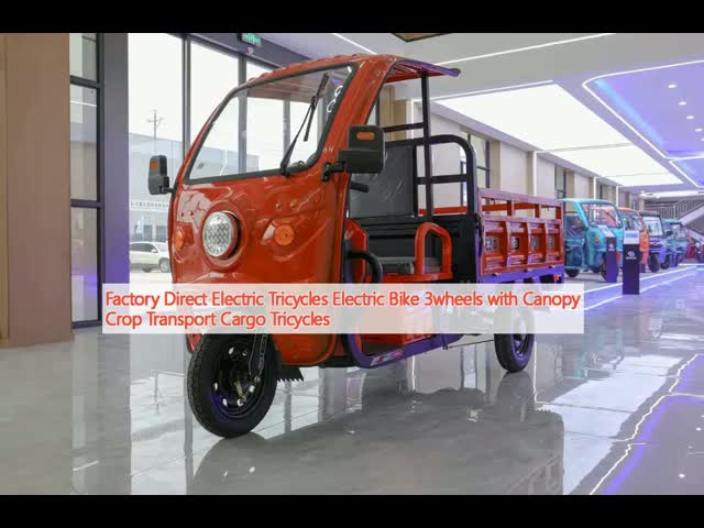3 Wheel Cargo Electric Tricycle With Canopy Crop Transport Electric Tricycle For Cargo
