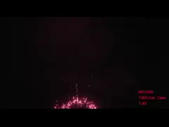 Fuochi d‘artificio professionali del dolce di saluto di pirotecnica 100 colpi