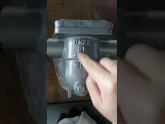 Free Ball Float Steam Trap