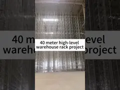 ASRS Rack System Heavy Duty Pallet Rack Powder Coated Modular Automated Storage System With Pallet/Carton Conveyor