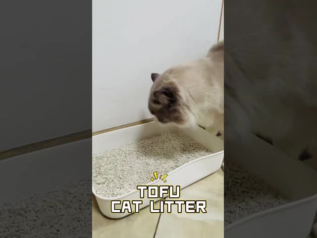 耐久性 生物分解性 トーフ 猫のゴミ 新鮮性 環境に優しい トーフ 猫のゴミ