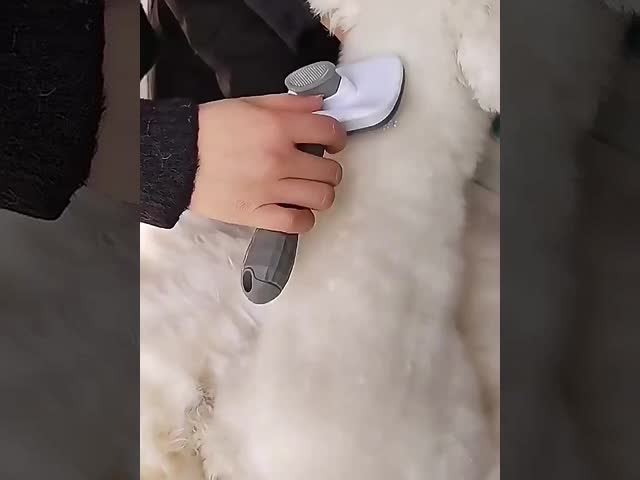 ペット用 毛穴 ブラシ 猫の爪 ペット用 脱毛剤 ステンレス ブラシ 犬用 猫用