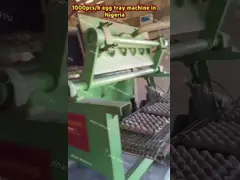Machine de fabrication de plateaux d'œufs en papier haute performance pour une production rapide et cohérente