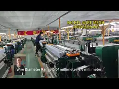 High Temperatures Special Alloy Wire Mesh