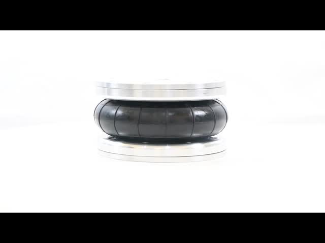 50mm Stroke SP2913 Dunlop Air SpringイギリスPneuride PNP305510113