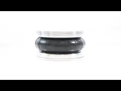 50mm Stroke SP2913 Dunlop Air Spring UK Pneuride PNP305510113