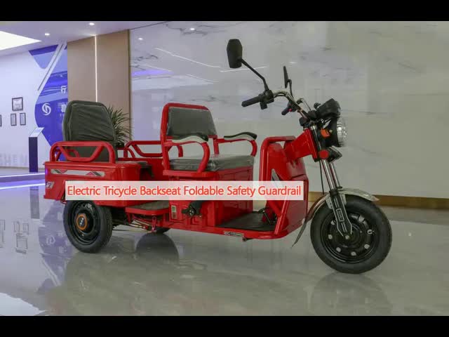 800w Passenger Electric Tricycle With Back Seat Foldable Safety Guardrail