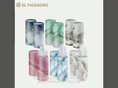 Compact and Durable Car Tissue Packs for Car Cup Holder in Natural White