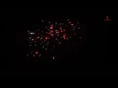 Chinesisches Kuchenfeuerwerk 62 Schusskuchenfeuerwerk zum Feiern Freiluftwerk