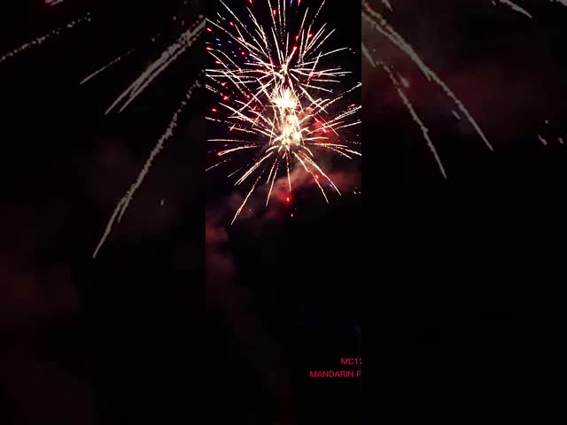 Pirotecnia chinesa de 100 fogos de artifício do bolo do banquete de casamento dos tiros para a celebração do festival