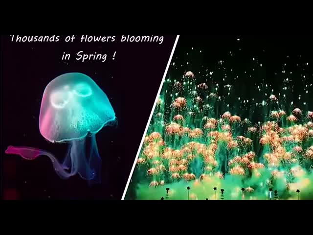 Pyrotechnic新年のおもちゃの花火のくらげの消費者新型の花火Skyshots