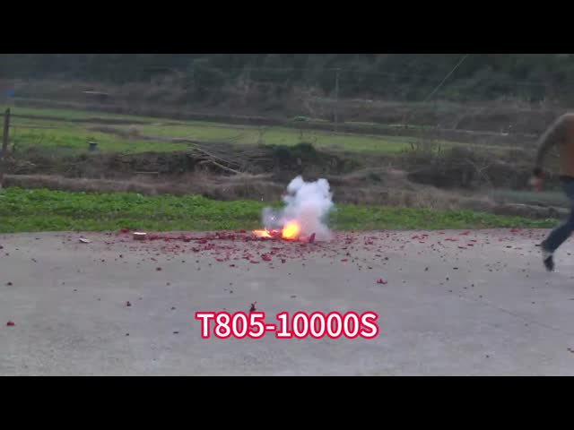 16000s DR-T737のマッチの爆竹、爆竹の爆竹の花火