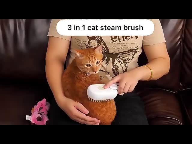 ペット脱毛 蒸気ブラシ 整形 3 In 1 フォルダ ハンドル 毛穴 毛穴を消す 猫の毛穴