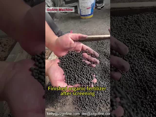 Pelota do adubo da venda 5000T NPK ou máquina de granulação quente em China