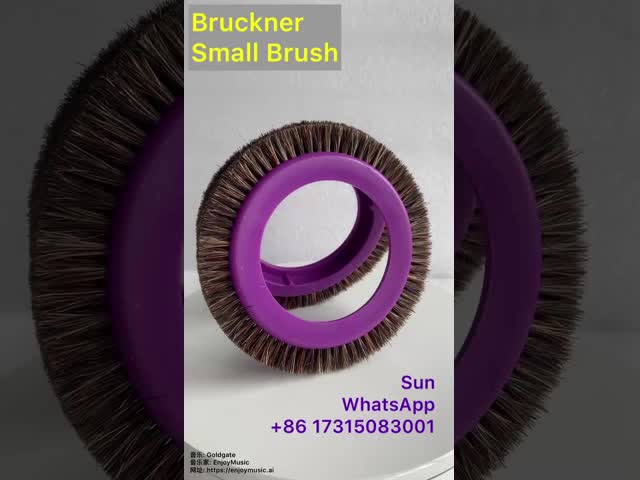 Bruckner Stenter機械部品の小さいブラシ車輪の紫色のプラスチック ボディ黒いナイロン毛