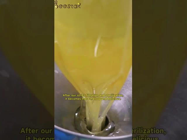 100% 純粋 純粋な生蜂蜜 自然 レイプ蜂蜜 添加物なしの天然蜂蜜 健康食品