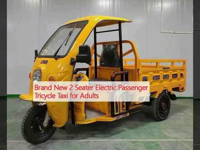 3 Wheel Cargo Electric Tricycle 50KM/H 90KM Electric Tricycle For Cargo