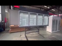Nhà bán tủ đông cửa kính với thép bên ngoài hỗ trợ và bên trong 3pcs kệ điều chỉnh