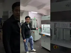 Machine électrique de moulage par injection à basse pression horizontale LPM video