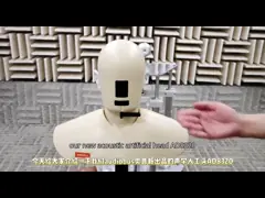 Hochfrequenz-Kopf- und Rumpfsimulator HF-Hüte für intelligente Geräte Lautsprecher Elektroakustische Prüfung