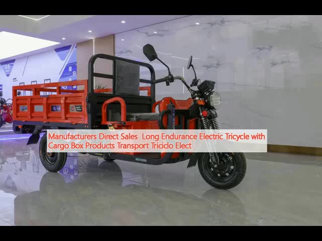 Manufacturers Direct Sales  Long Endurance Electric Tricycle with Cargo Box Products Transport
