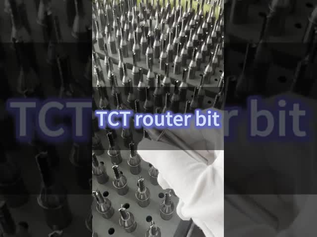 2 つの端の長い TCT のまっすぐなビット ルーターの反摩耗のさびない