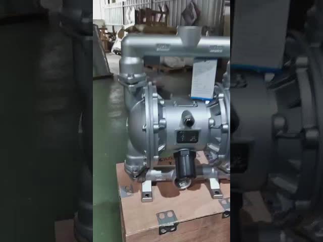 パネウマティック駆動型弁管ポンプ/双弁管ポンプ (QBY) 高吸管頭