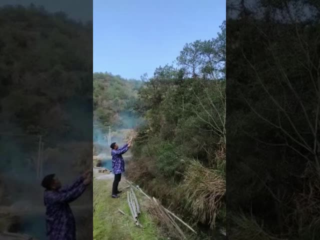 Карамболь Confetti Popper партии, карамболь порошка Holi для свадьбы