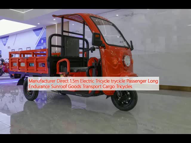 Motorized Passenger Three Wheeler Delivery Van Open Body High Fence