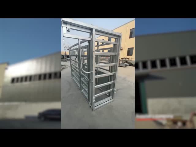 Customized Galvanized Steel Heave Duty Cattle Crush Easy Assembly