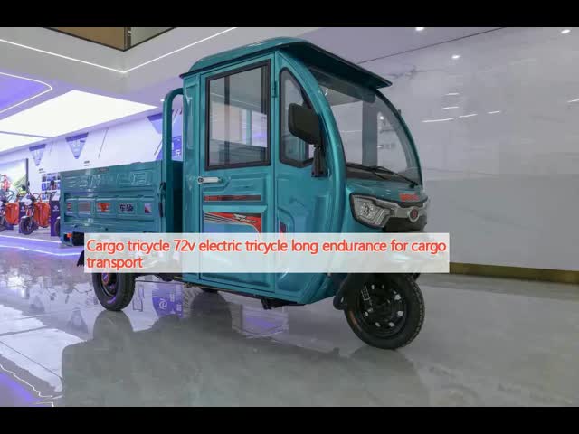 Passenger Electric Motorcycle 3 Wheel Tuk Tuk 800W 30-50Km/H