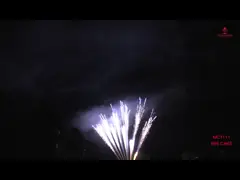 Il mandarino visualizza 90 colpi saluta i fuochi d‘artificio professionali del dolce della pirotecnica per il partito