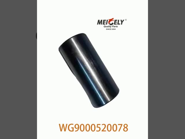 WG9000520078 Bush Pour HOWO 371 Pièces de camion Moteur Weichai vidéo