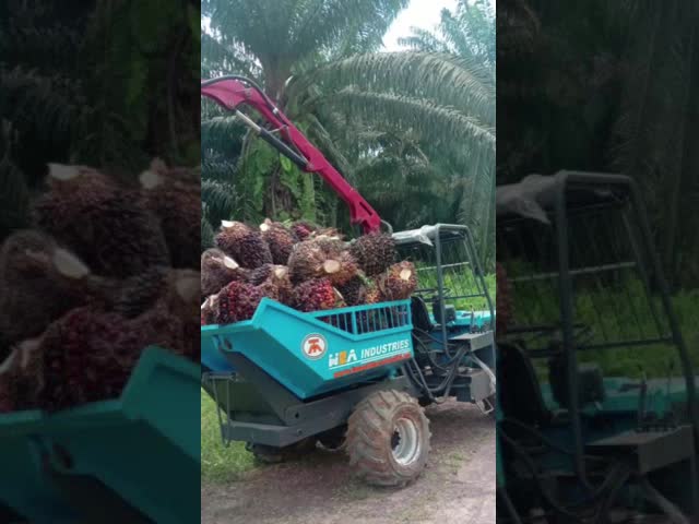Trator Mini Farm Trator With Grapple do óleo de palma de 22HP Indonésia