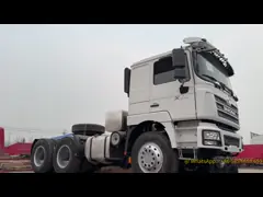 Customizzabile 380 430HP Usato SHACMAN F3000 6X4 camion trattore