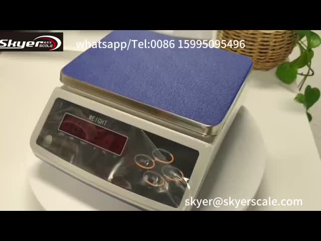 30kg D11シリーズ 電子秤台