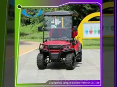 Voiture de chasse électrique de 4 places avec moteur à courant alternatif et quatre roues motrices pour l'exploration du désert
