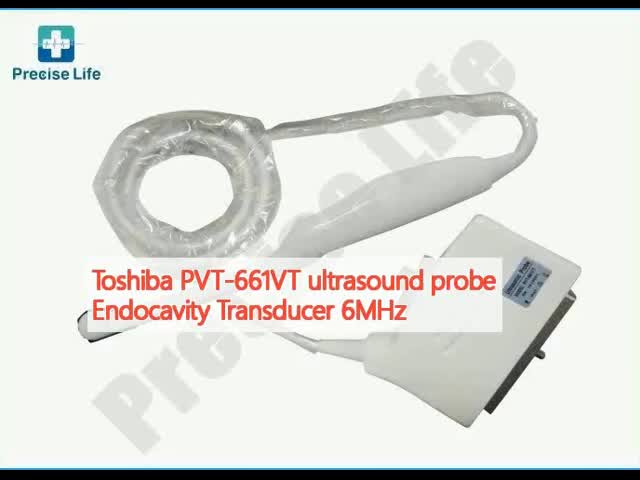 東芝 PVT-661VT の超音波の調査の Endocavity のトランスデューサー 6MHz