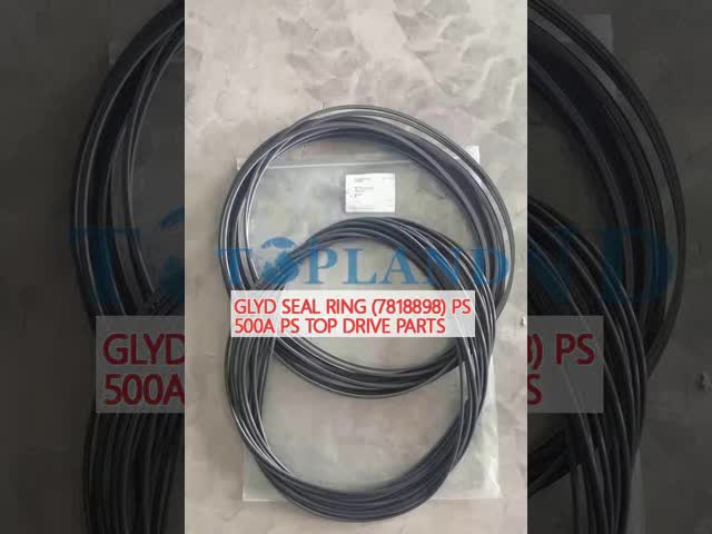 Glyd Seal Ring (7818898) Ps-500a Top Drive Spare Parts for Drilling