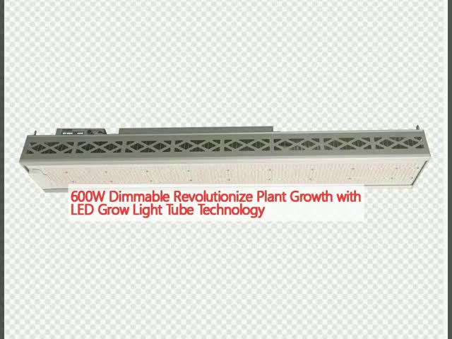 600Wのディム可能なLED成長ライトチューブ技術で 植物の成長に革命をもたらします