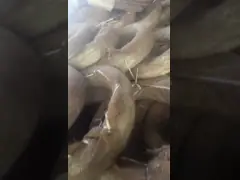 Провод BWG22 электрический и горячий окунутый гальванизированный/Pvc покрыл провод/черный обожженный провод