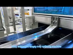 2400BPH Boxed Chickpea Filling Production Line CE
