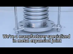 SS316 High Temperature Resistance Expansion Bellows for Pipes