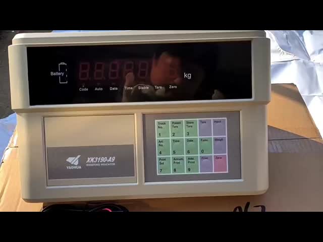 エレクトロニック・ウェジング・インジケーター Xk3190 A9 プリンタなしのウェジング・インジケーター